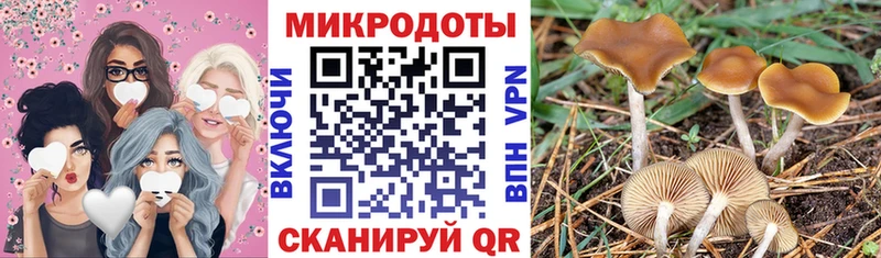 Галлюциногенные грибы Magic Shrooms  Сорочинск 